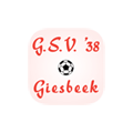 GSV 4 logo