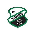 13-1 logo
