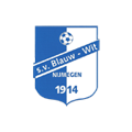 13-1 logo