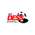 Dess 2 logo