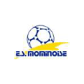 Féminines Logo