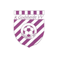 K. GODSHEIDE V.V. - U15