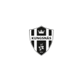P15 logo