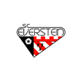 Everstein Logo