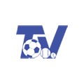 19-1 logo