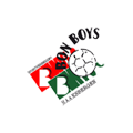 13-3 Logo