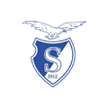 Stormvogels 1 logo