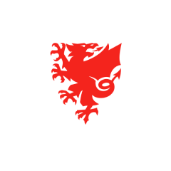 Llanelli Untd logo
