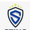 Sting Austin 2014G Demaree logo