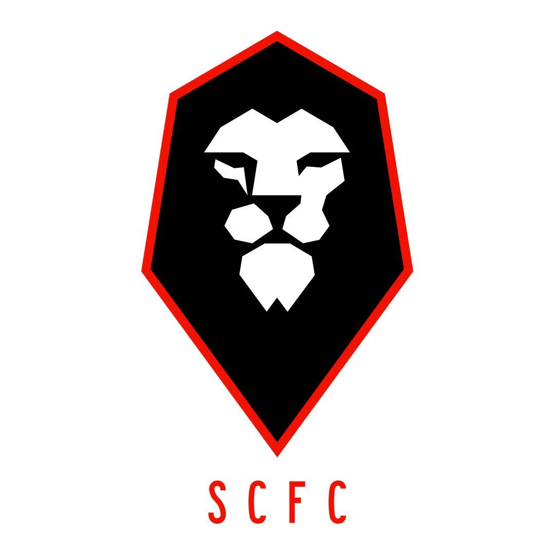 Salford Logo