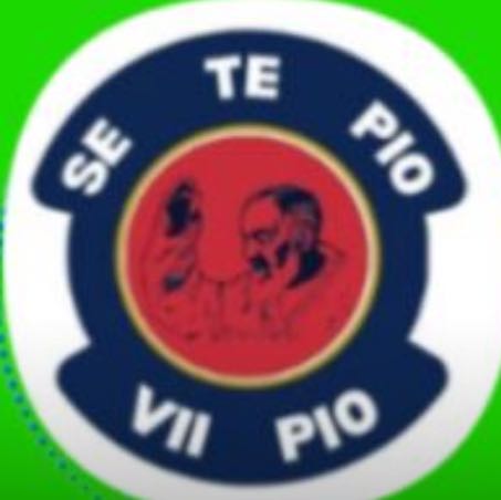 VII PIO logo
