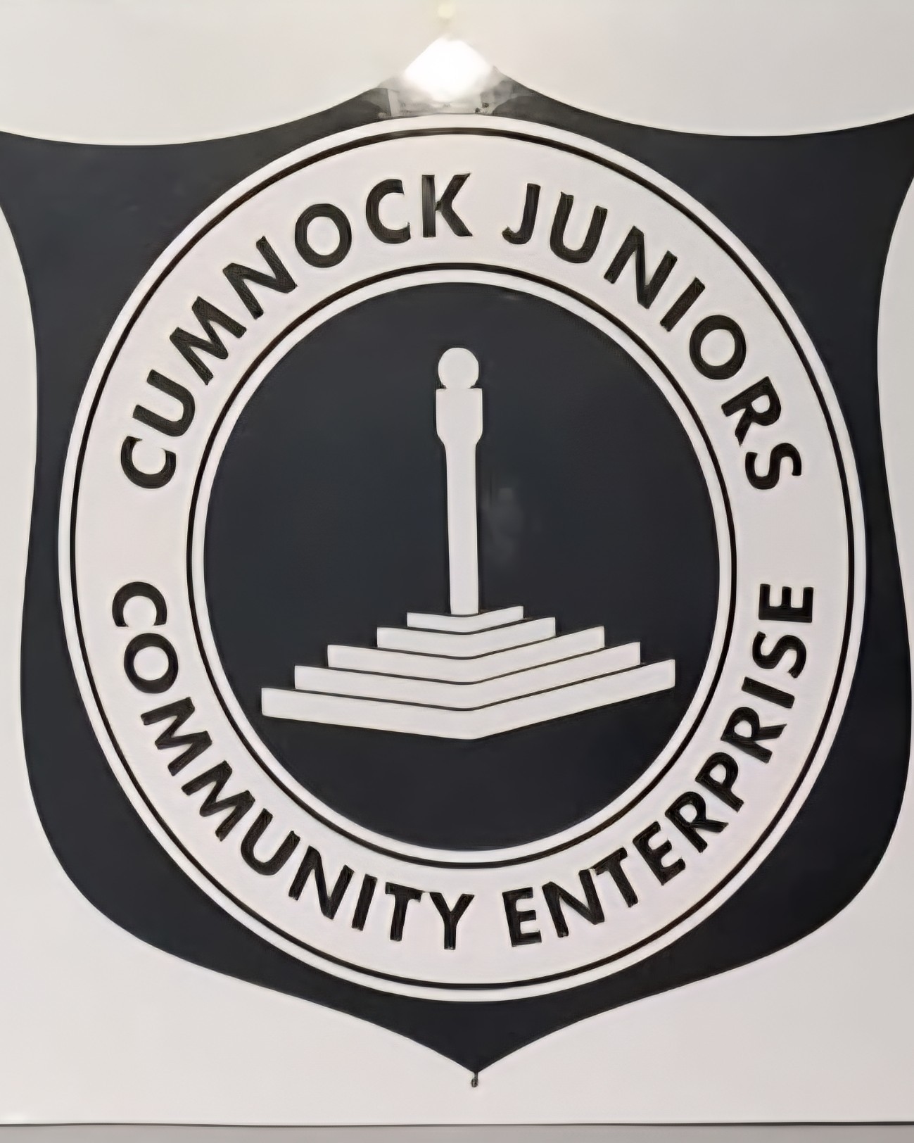 Cumnock Colts logo