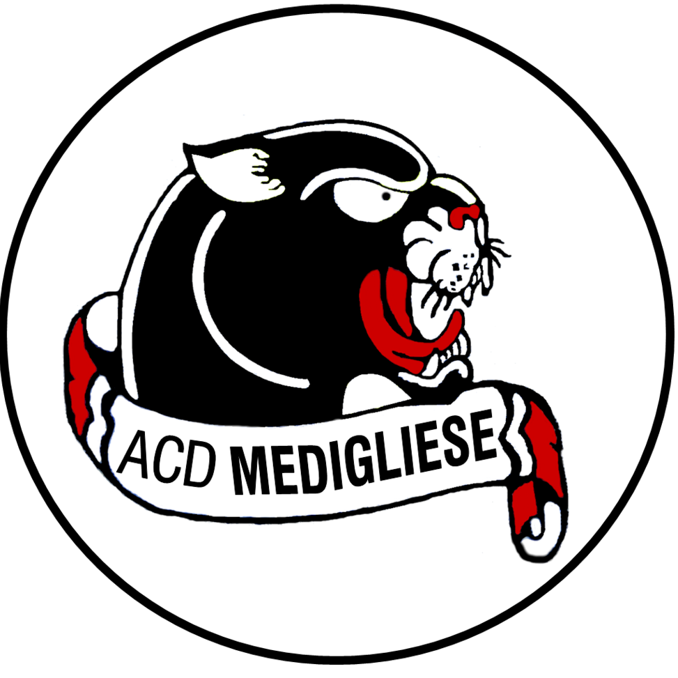 Medigliese Logo