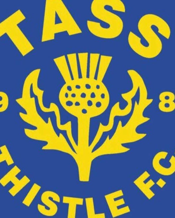 Tass logo