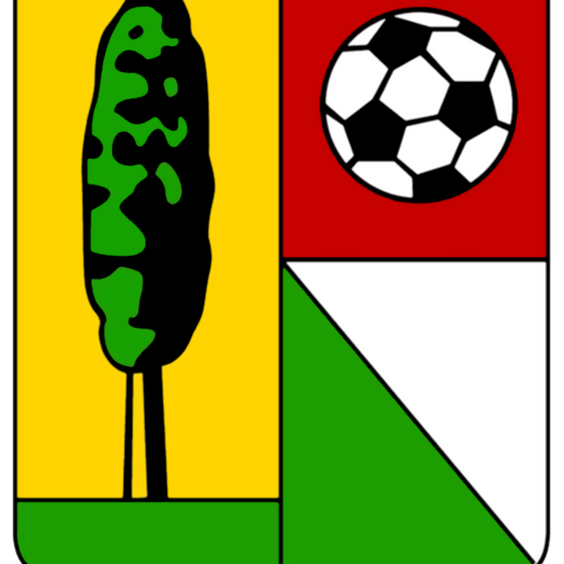 Montanaso logo