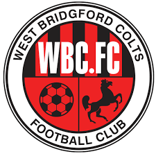 Lions Logo