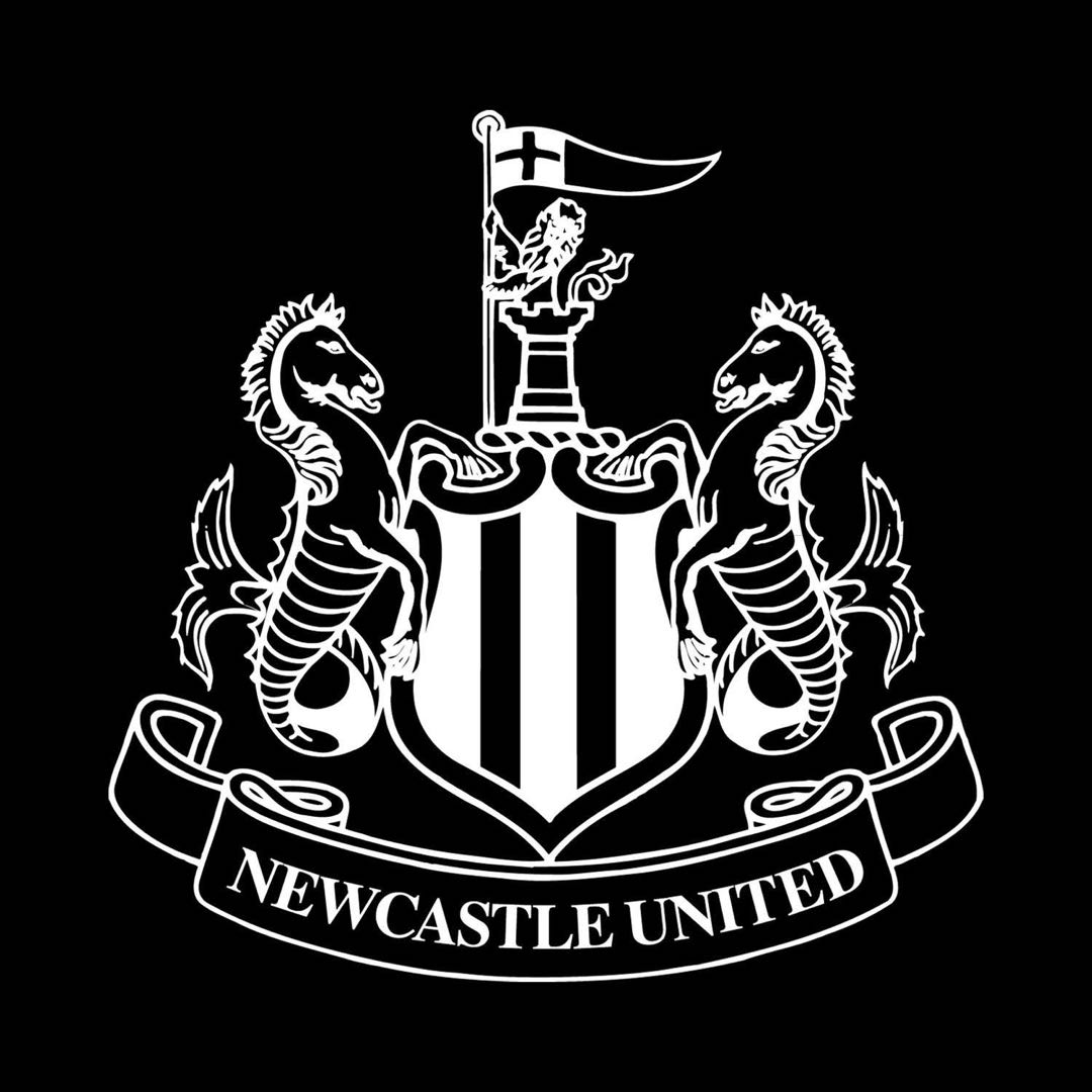 Newcastle  logo