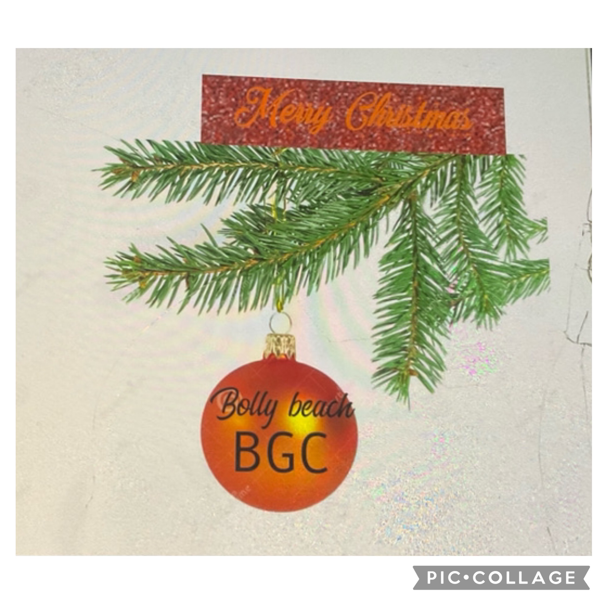 Bolly Beach Logo