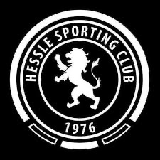 Hessle Sporting Wizards. logo