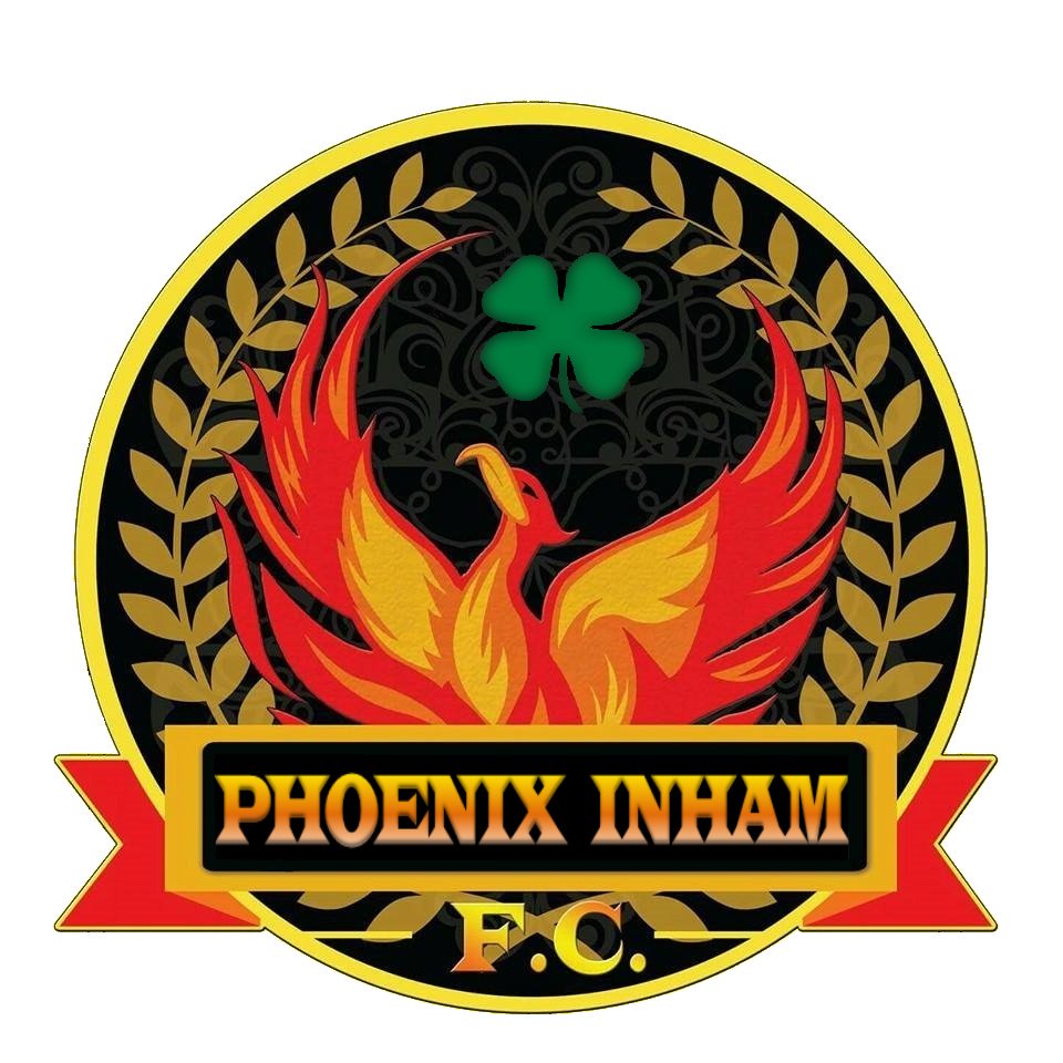 Skyfire Logo