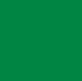 T5-EI-Sarji (Green) Logo