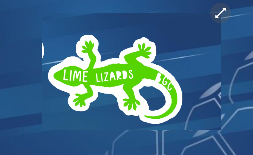 Lime Lizards Logo