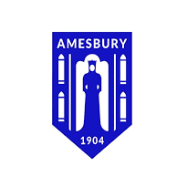 Amesbury Town FC U18 logo