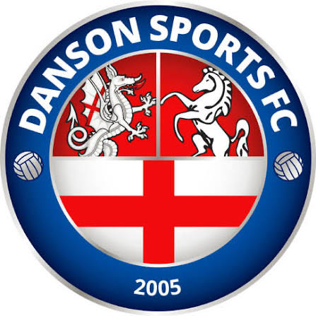 Danson Sports Orange Logo