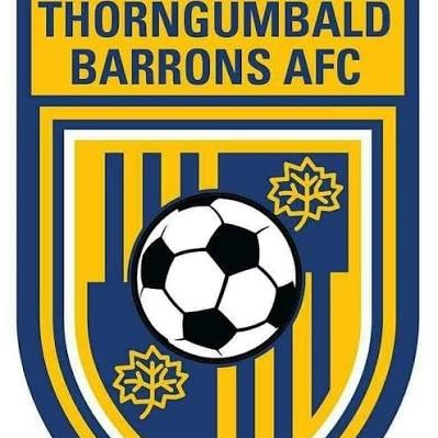 Thorngumbald Barrons Yellows Logo
