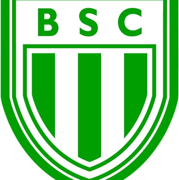 Boavista logo