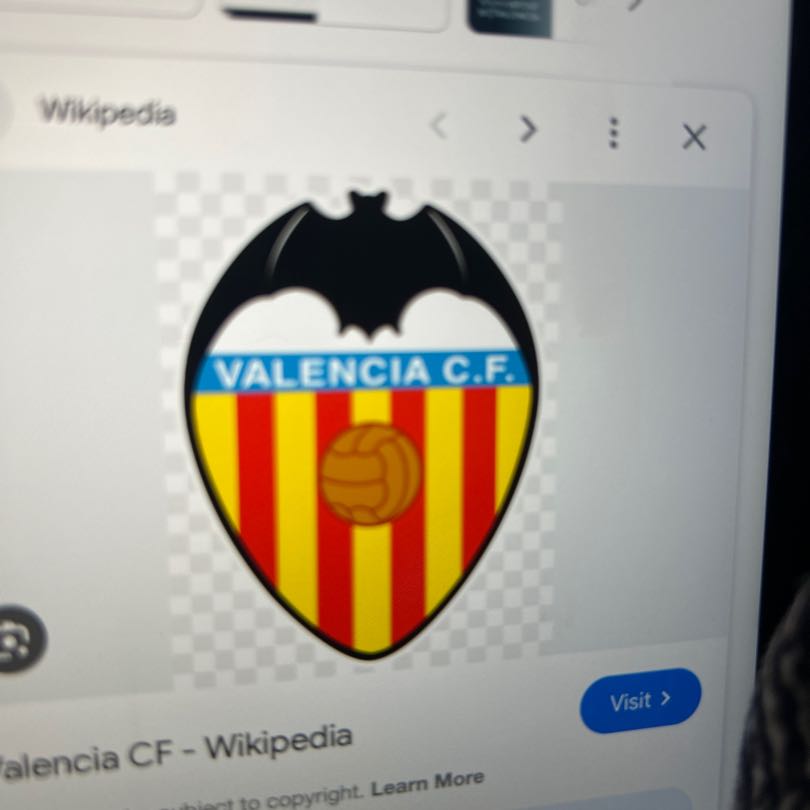 Valencia  Logo