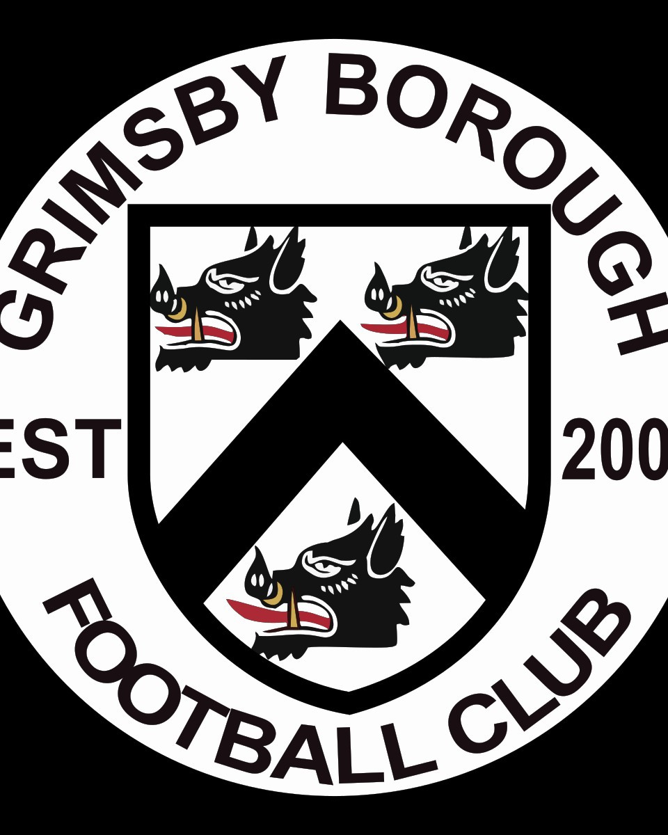 Grimsby Borough U13s A  logo