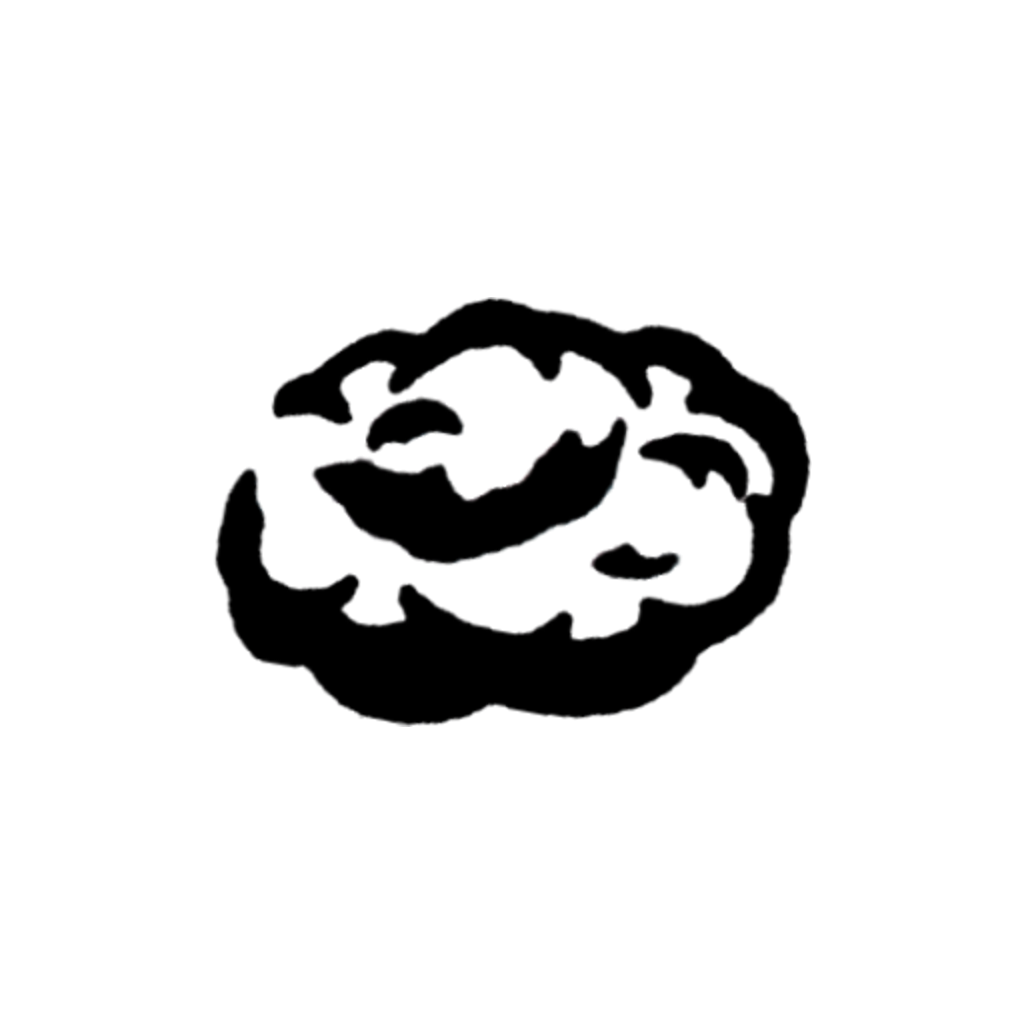 KP De Donkere Wolk Logo