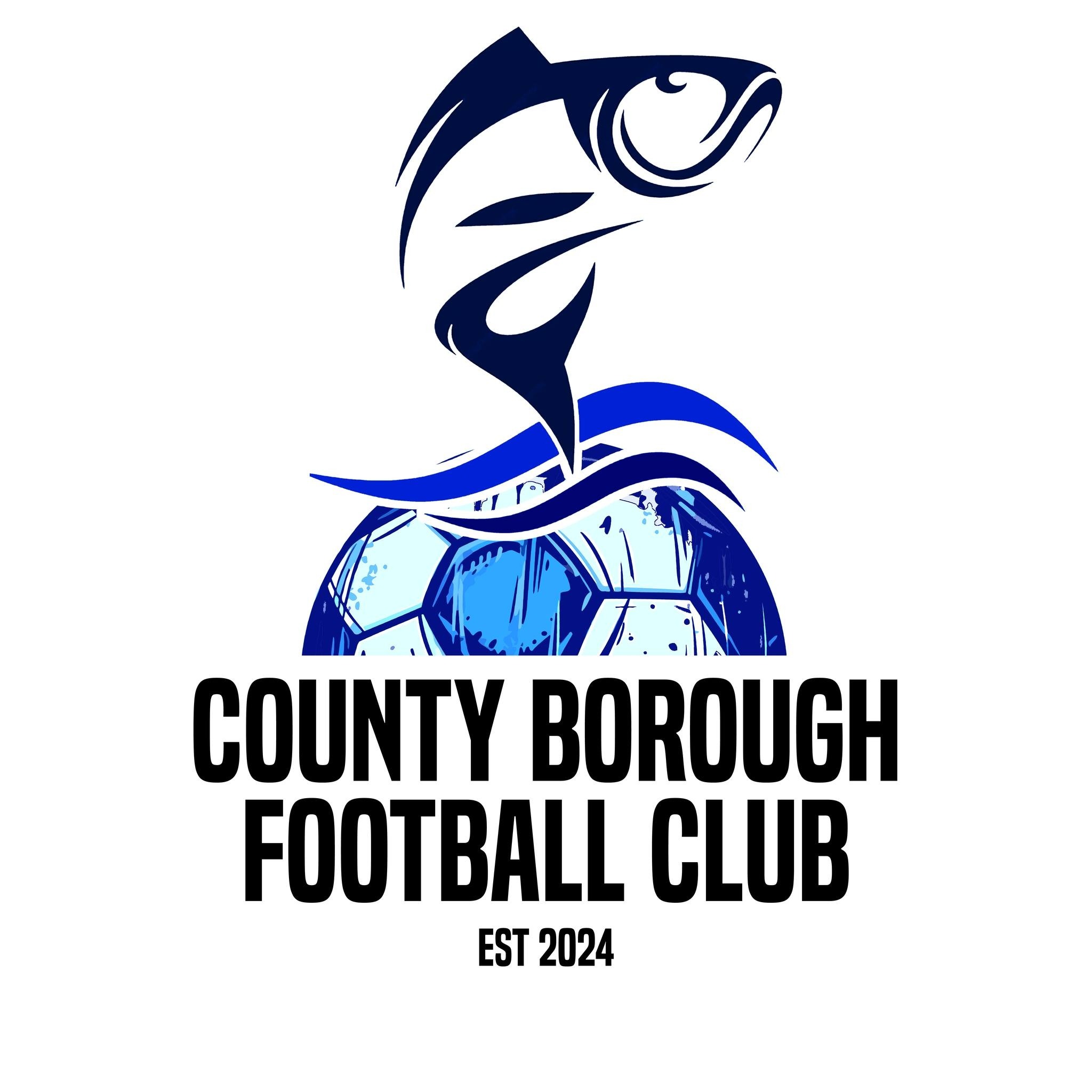 County Borough logo