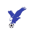 BU11 logo