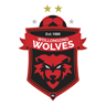 Wollongong Wolves FC logo