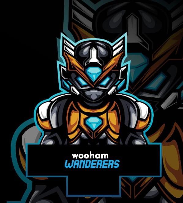 Wuhan Wanderers Academy 