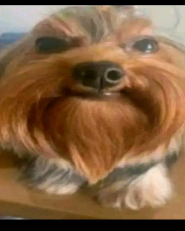 Los Peruanos😦😦😜😜😎😎🔥🔥🇧🇴🇧🇴🇵🇪